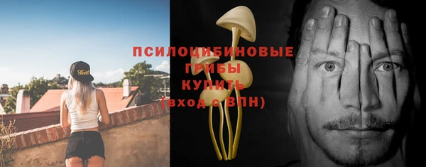 прущий лед Алзамай