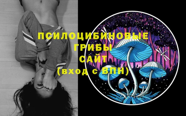 прущий лед Алзамай