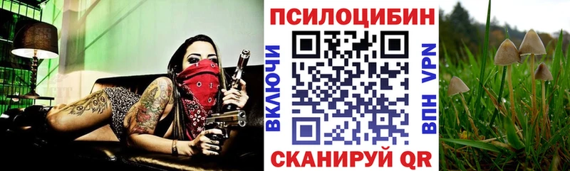 Галлюциногенные грибы ЛСД Боровск